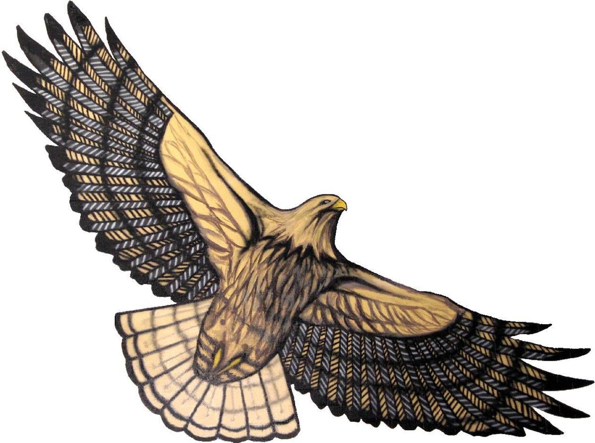 flying hawk